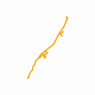Export Image